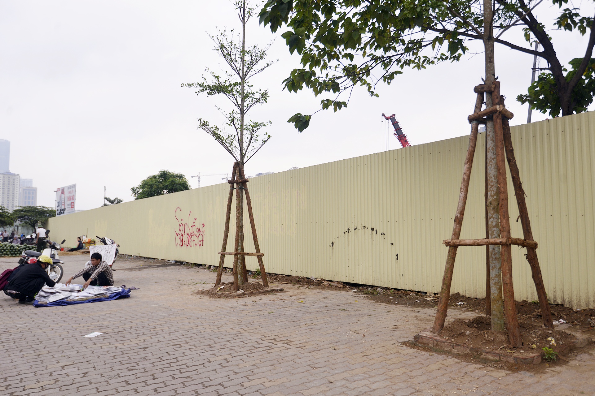 Cay moi trong chet hang loat anh 10