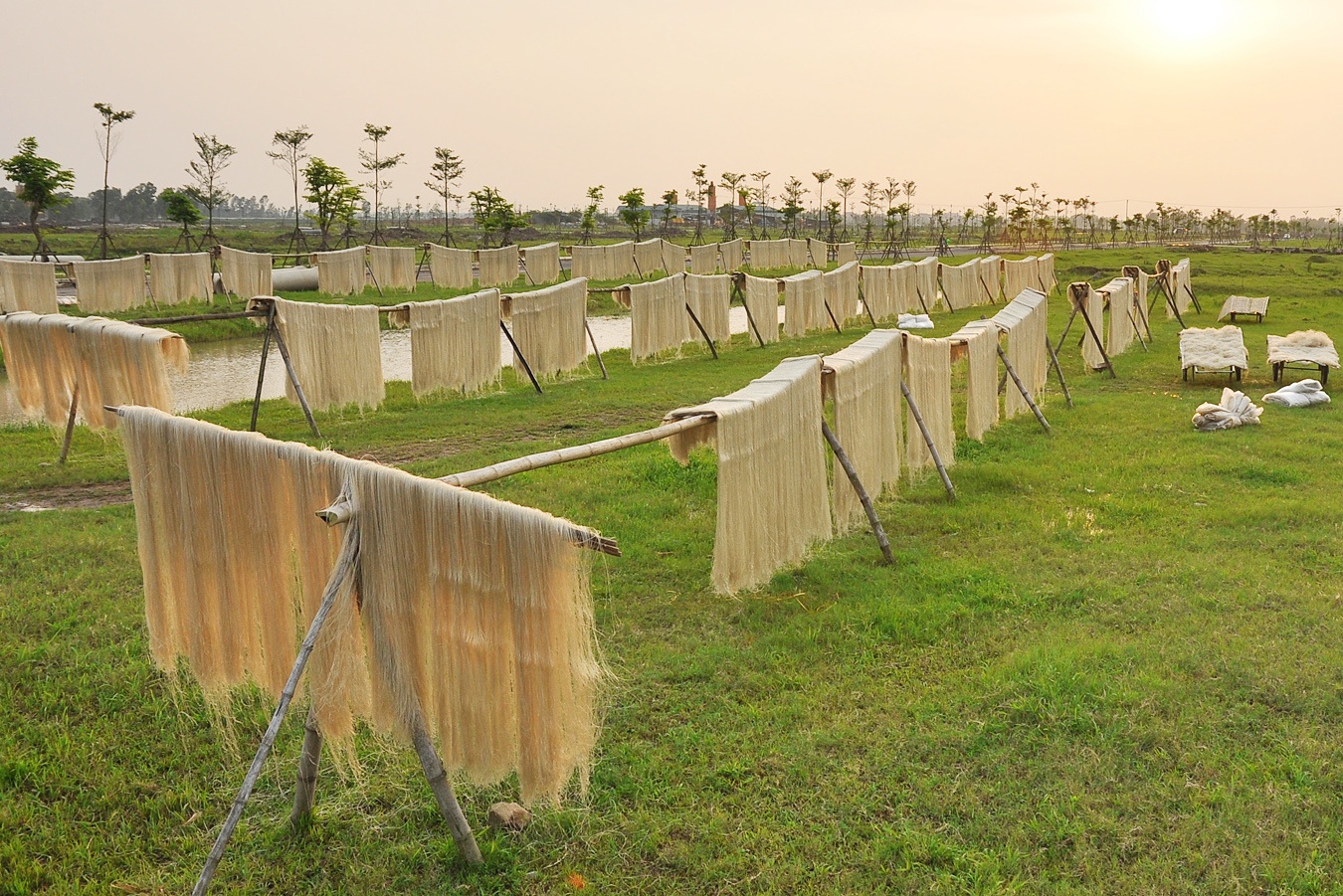 Phoi mien, chan bo tai du an moi cua dai gia 'dieu cay' hinh anh