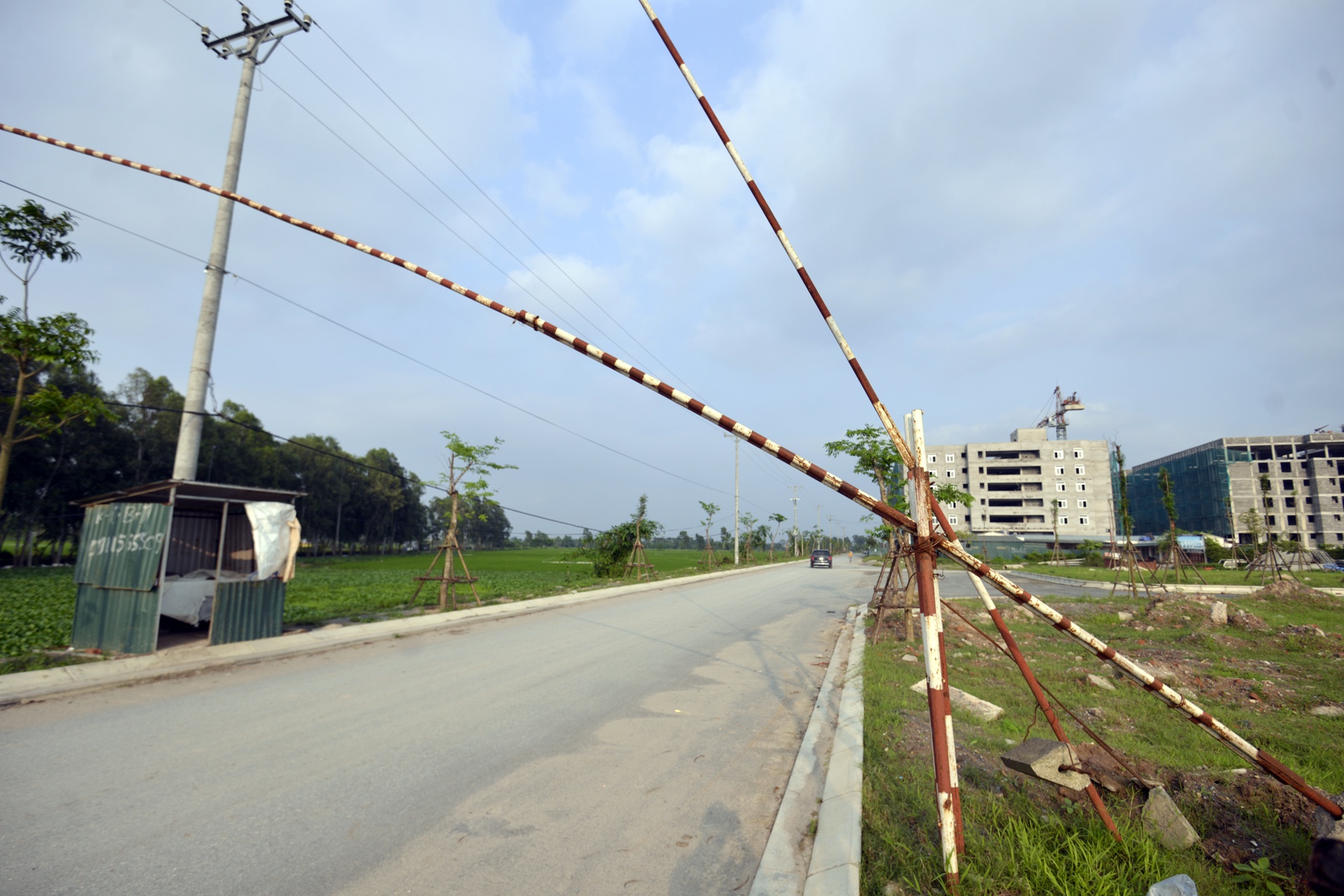 Du an dai gia “dieu cay” thanh noi phoi mien anh 7