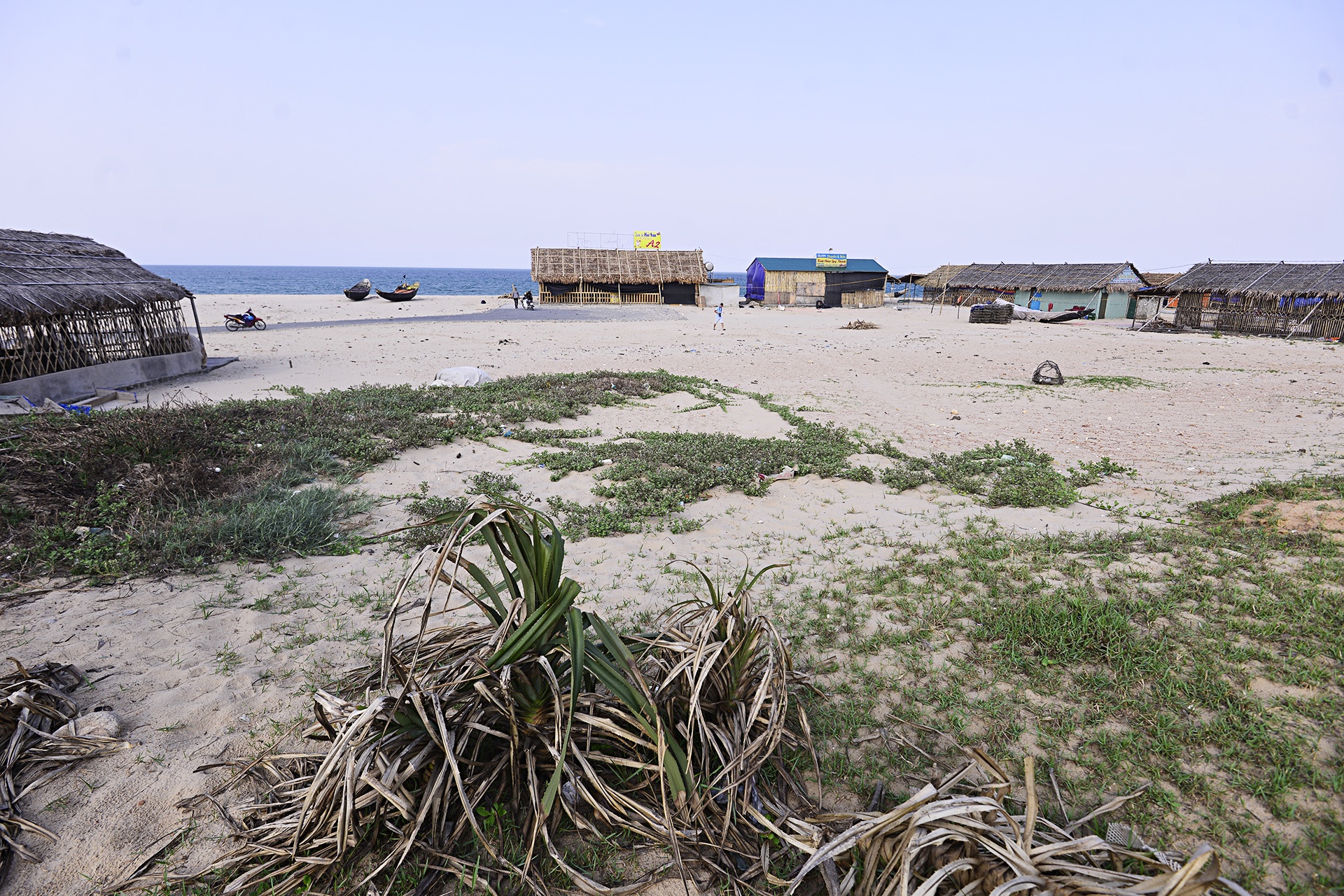 su co ca chet hang loat anh 13