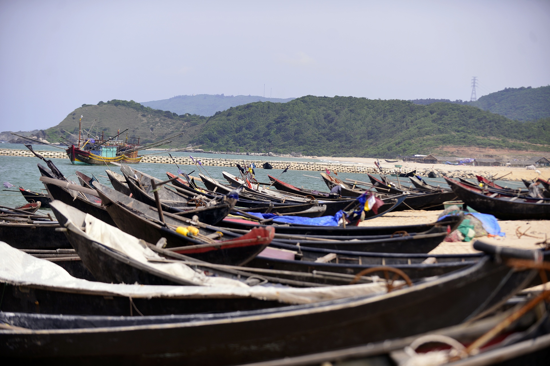 su co ca chet hang loat anh 1