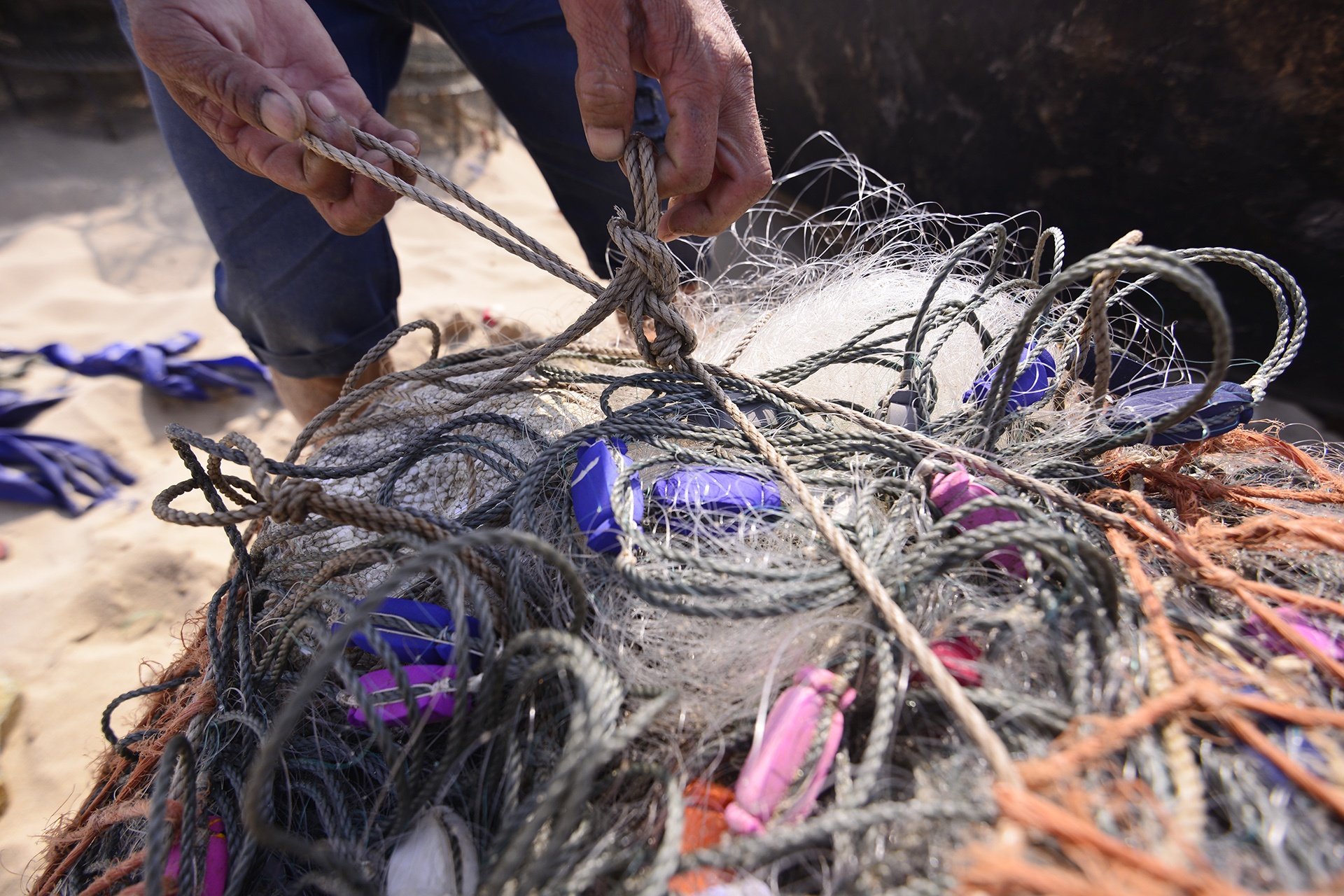 su co ca chet hang loat anh 4