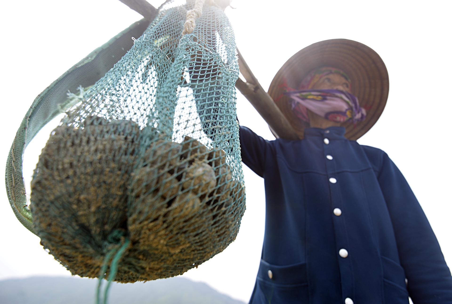 Ngao chet o Ha Tinh anh 11