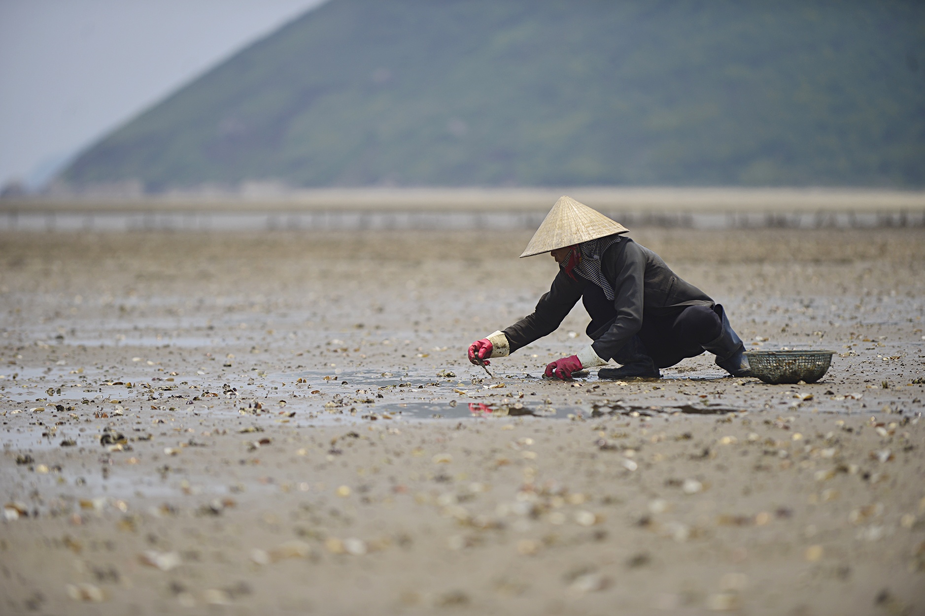 Ngao chet o Ha Tinh anh 12