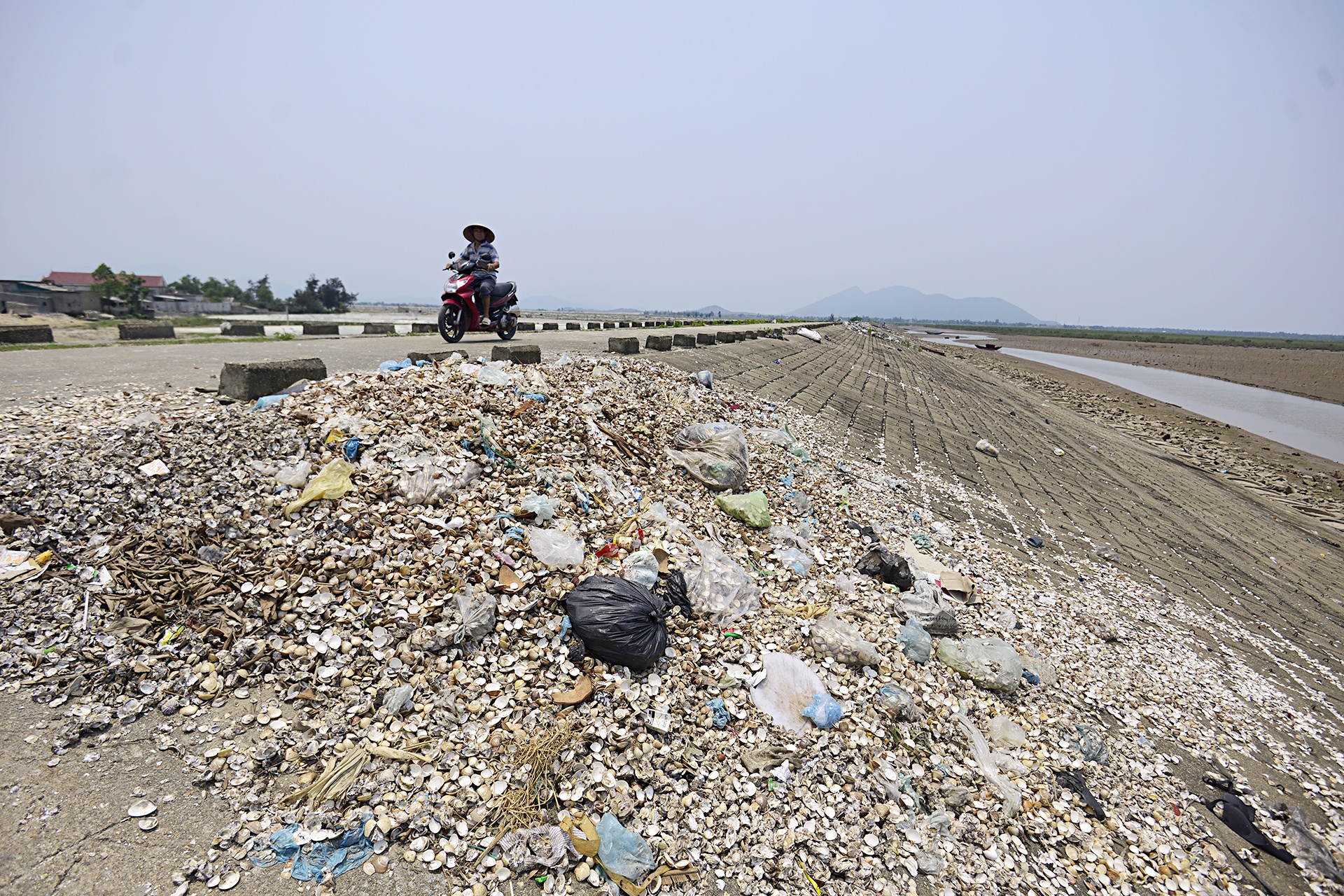 Ngao chet o Ha Tinh anh 14