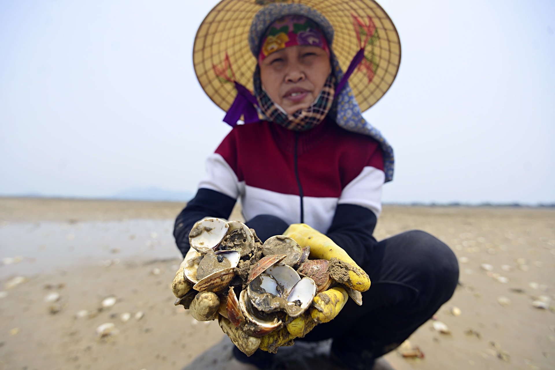 Ngao chet trang dam o Ha Tinh, nguoi nuoi mat tram trieu hinh anh
