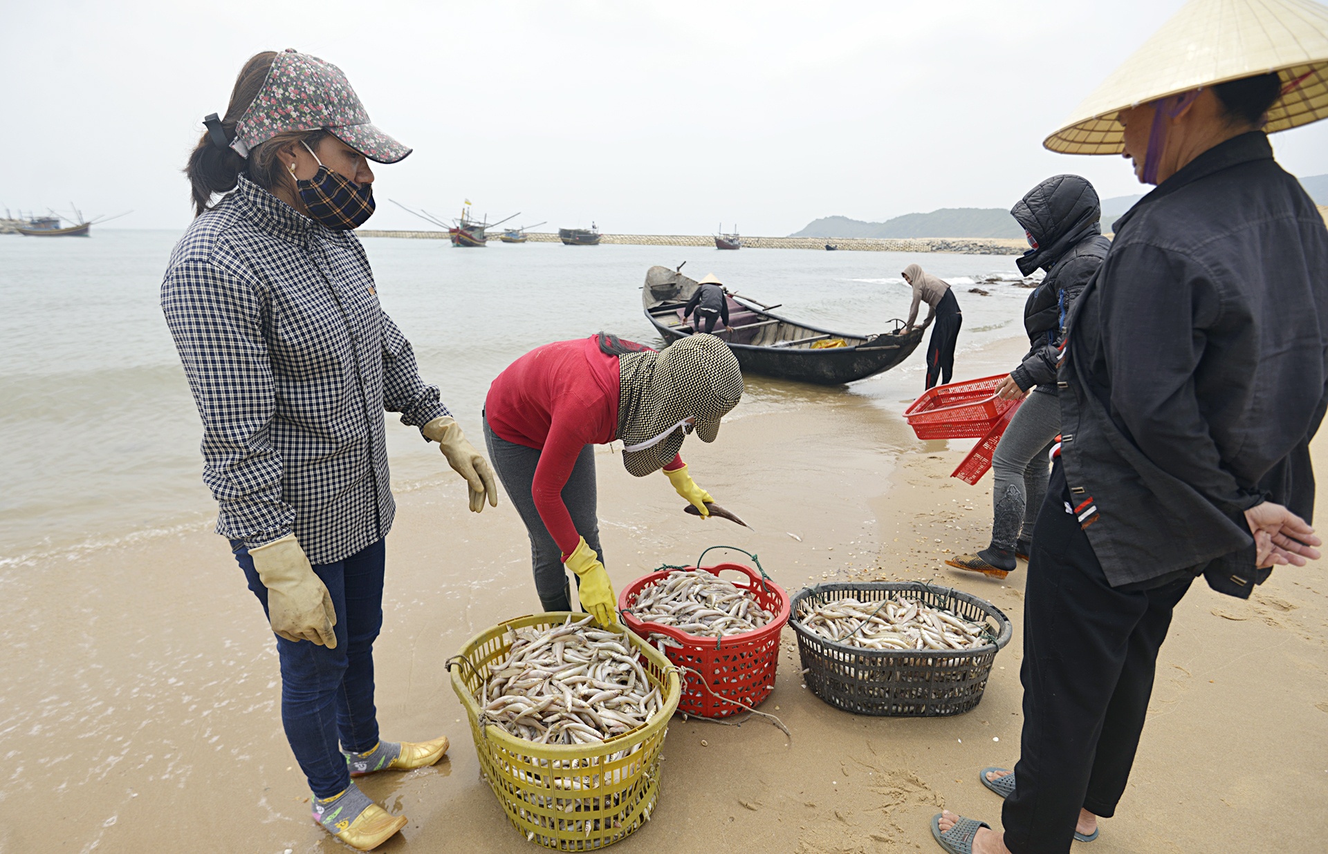Ngư dân Hà Tĩnh ra khơi đánh cá ảnh 2 Ngu dan Ha Tinh ra khoi danh ca anh 2