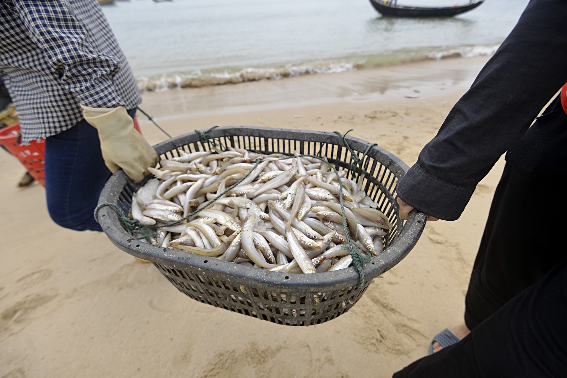 Ngư dân Hà Tĩnh ra khơi đánh cá ảnh 6 Ngu dan Ha Tinh ra khoi danh ca anh 6