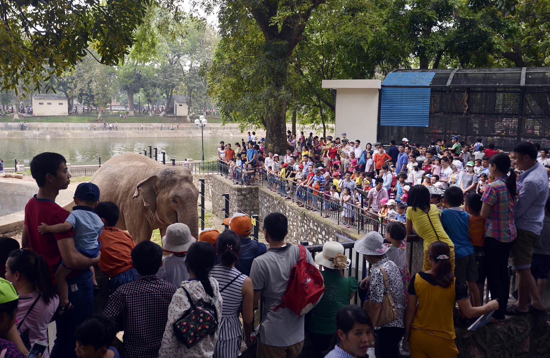 Khu vui choi dong nghit dip nghi le 30/4 anh 3