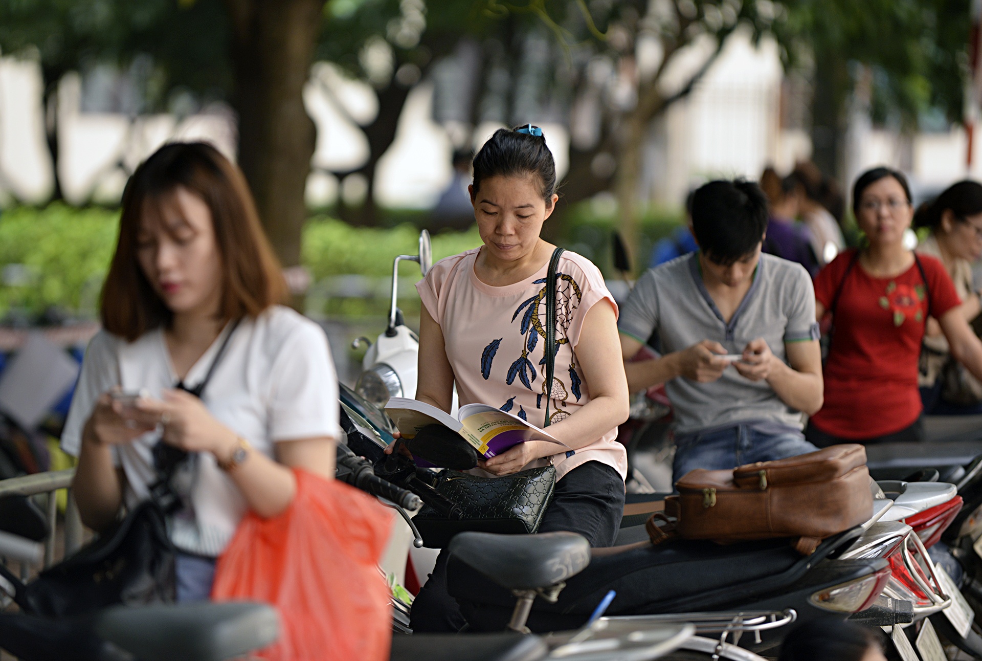 thi danh gia nang luc anh 15