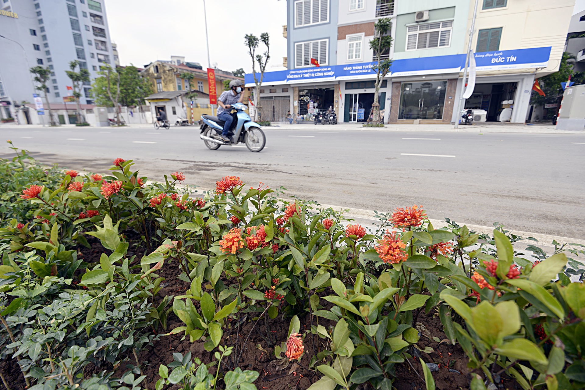 Thong xe tuyen duong kieu mau Le Trong Tan anh 9