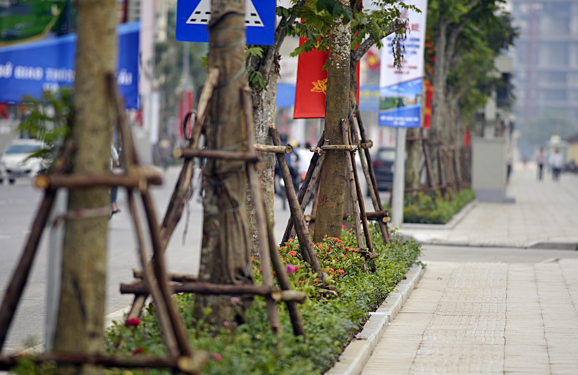 Thong xe tuyen duong kieu mau Le Trong Tan anh 8