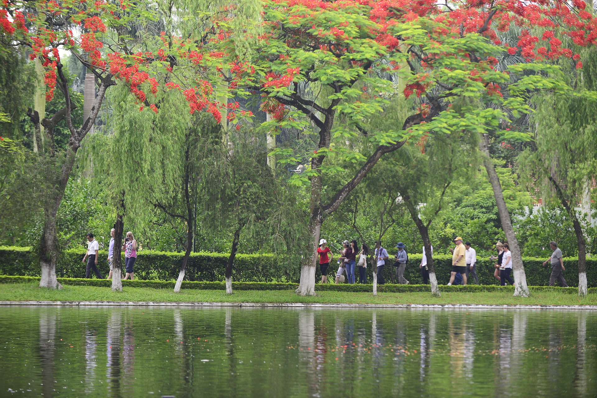 vao lang vieng Chu tich Ho Chi Minh anh 10