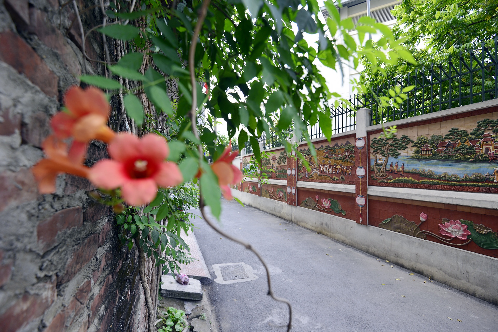 con duong gom su anh 8