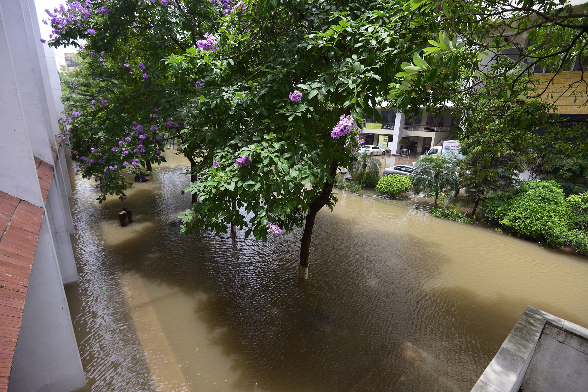 Dai hoc Kien Truc Ha Noi ngap trong bien nuoc anh 4