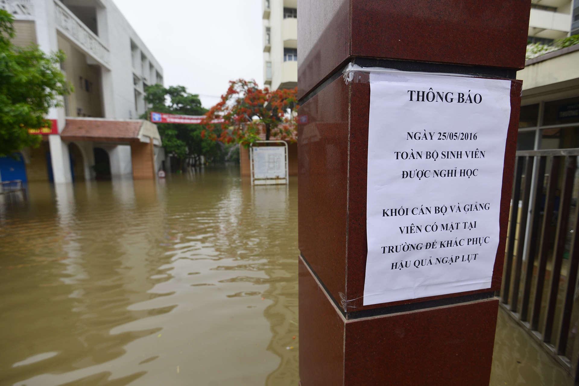 Dai hoc Kien Truc Ha Noi ngap trong bien nuoc anh 3