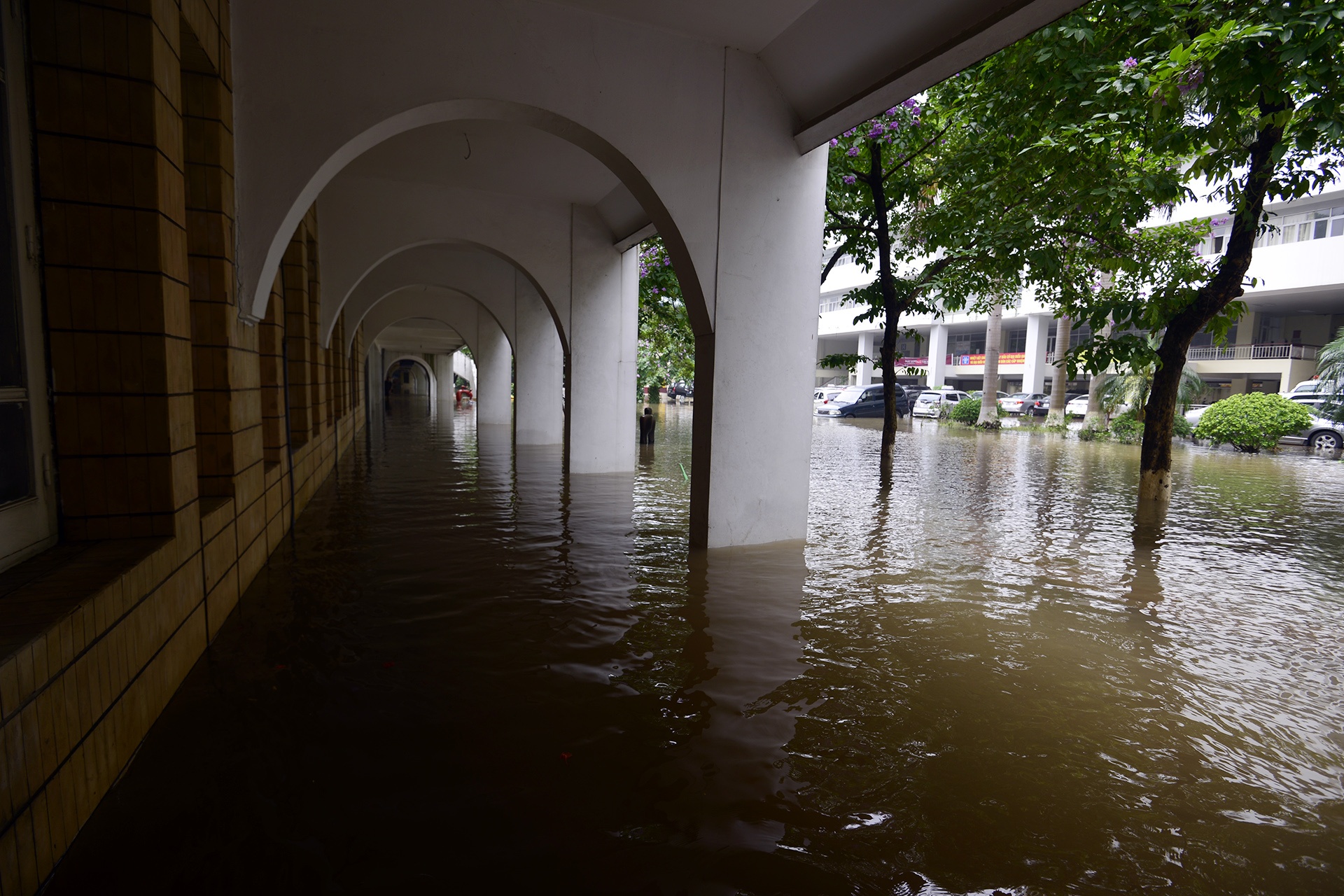 Dai hoc Kien Truc Ha Noi ngap trong bien nuoc anh 5