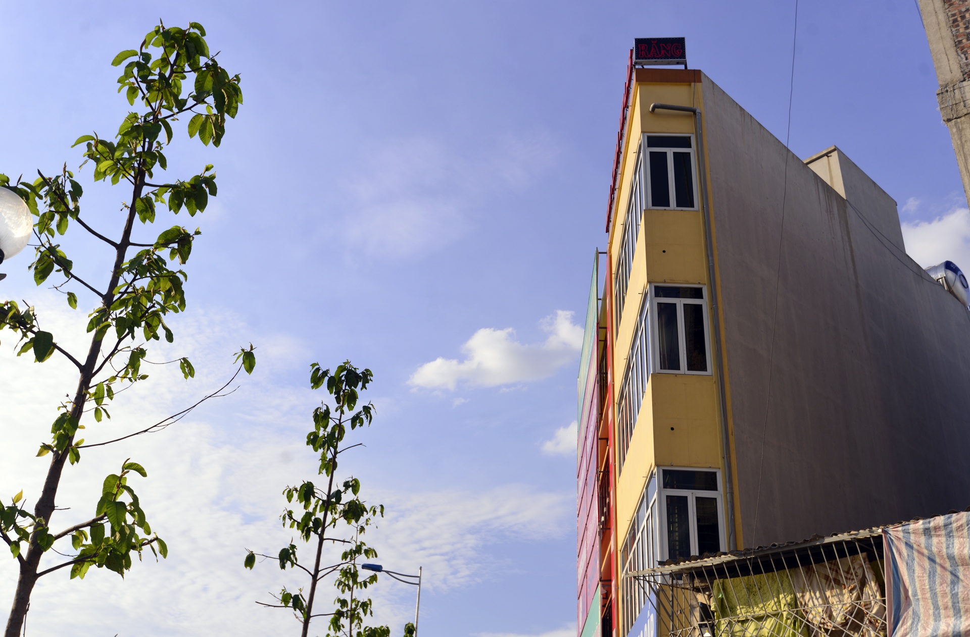 Nha sieu mong sieu meo anh 3