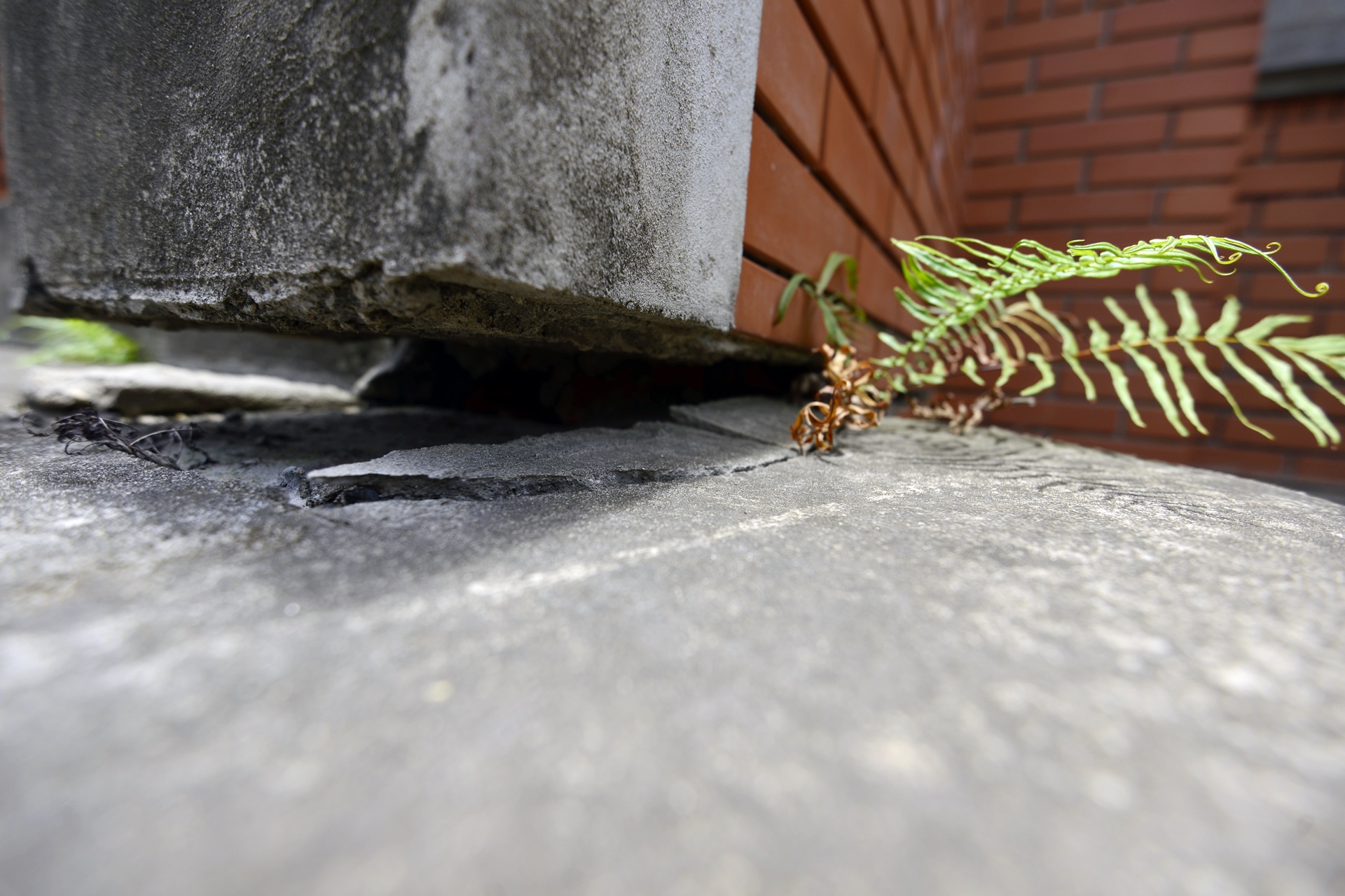 Biet thu hu hong canh Thien duong Bao Son anh 5