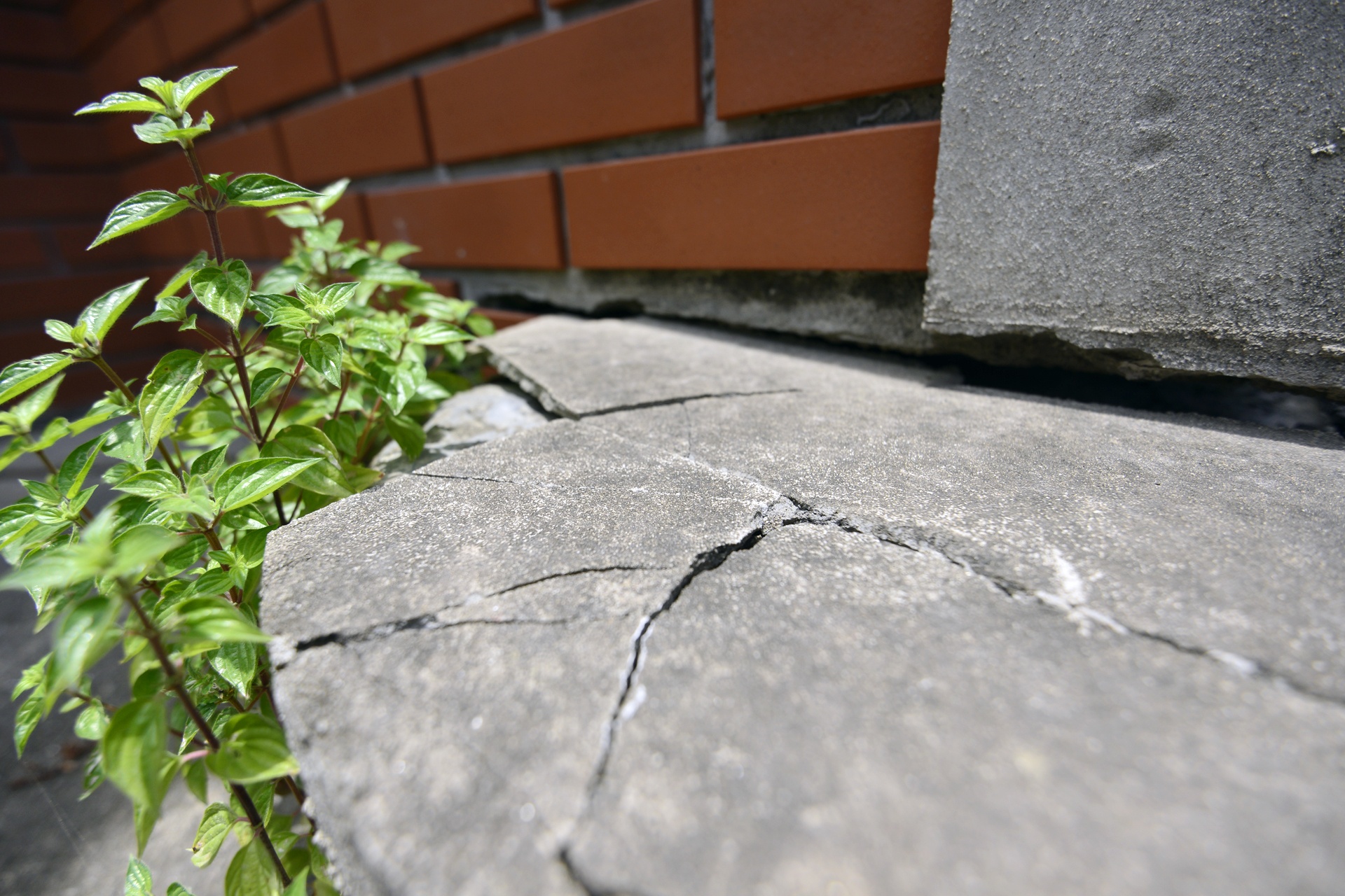 Biet thu hu hong canh Thien duong Bao Son anh 9