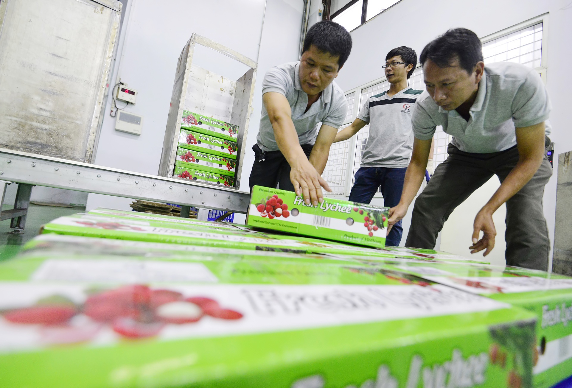 Ben trong day chuyen xuat khau vai thieu di Uc anh 12