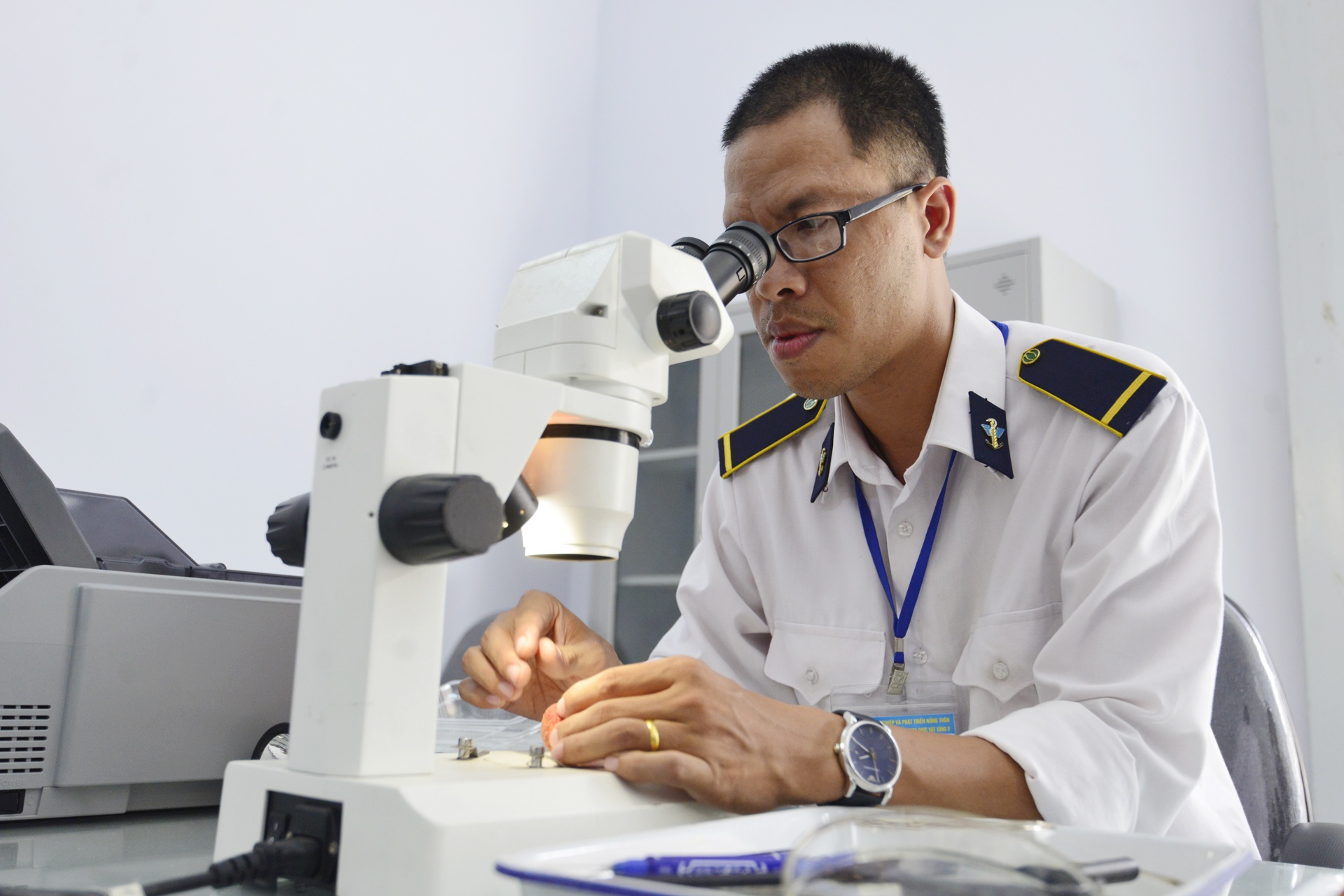 Ben trong day chuyen xuat khau vai thieu di Uc anh 1