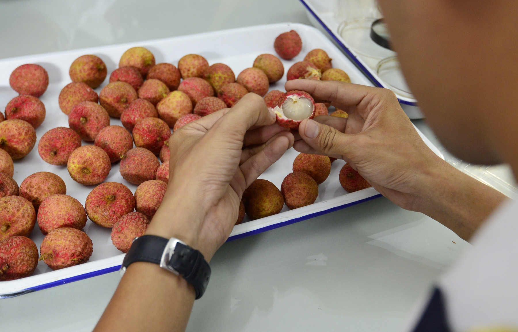 Ben trong day chuyen xuat khau vai thieu di Uc anh 2