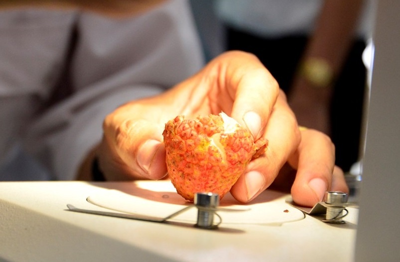 Ben trong day chuyen chieu xa vai thieu di Australia hinh anh