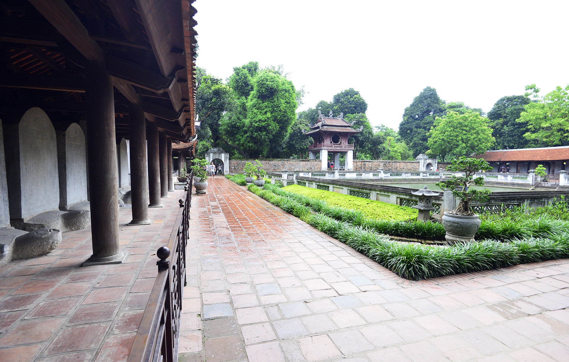 Si tu nhay vao trong so dau rua cau may anh 1