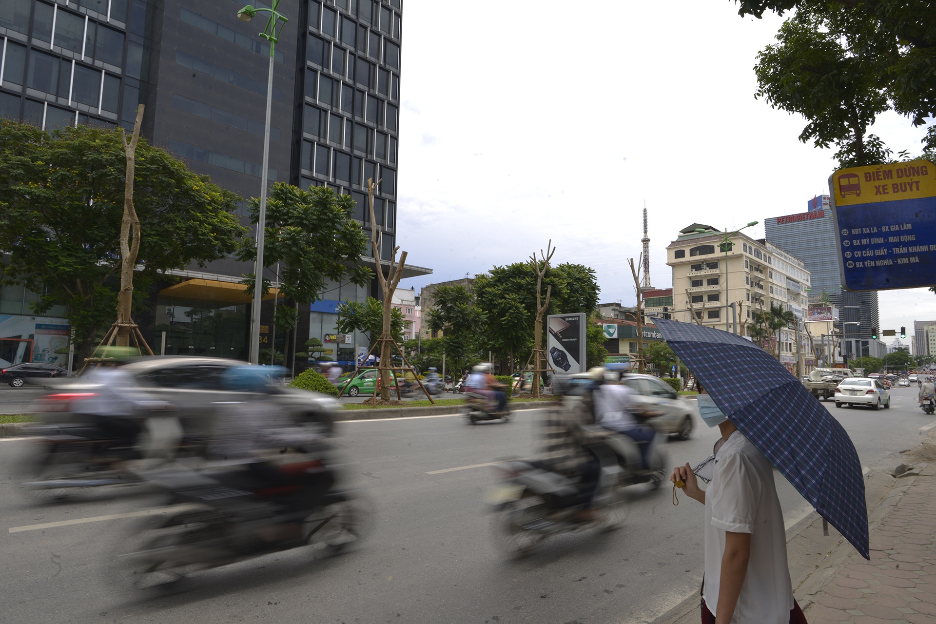 tuyen duong hoa phuong do anh 11