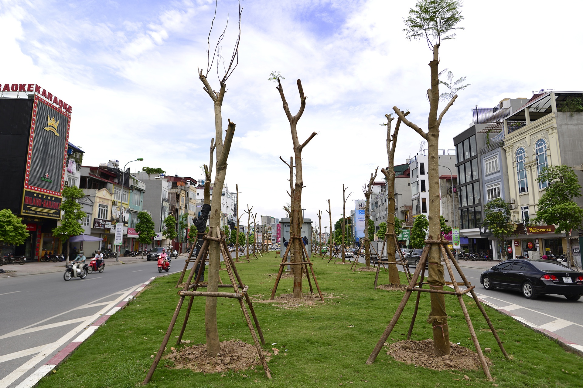 tuyen duong hoa phuong do anh 6
