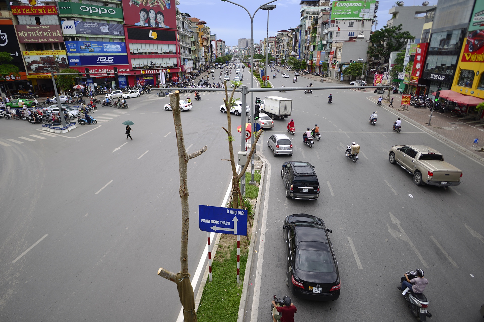 tuyen duong hoa phuong do anh 2