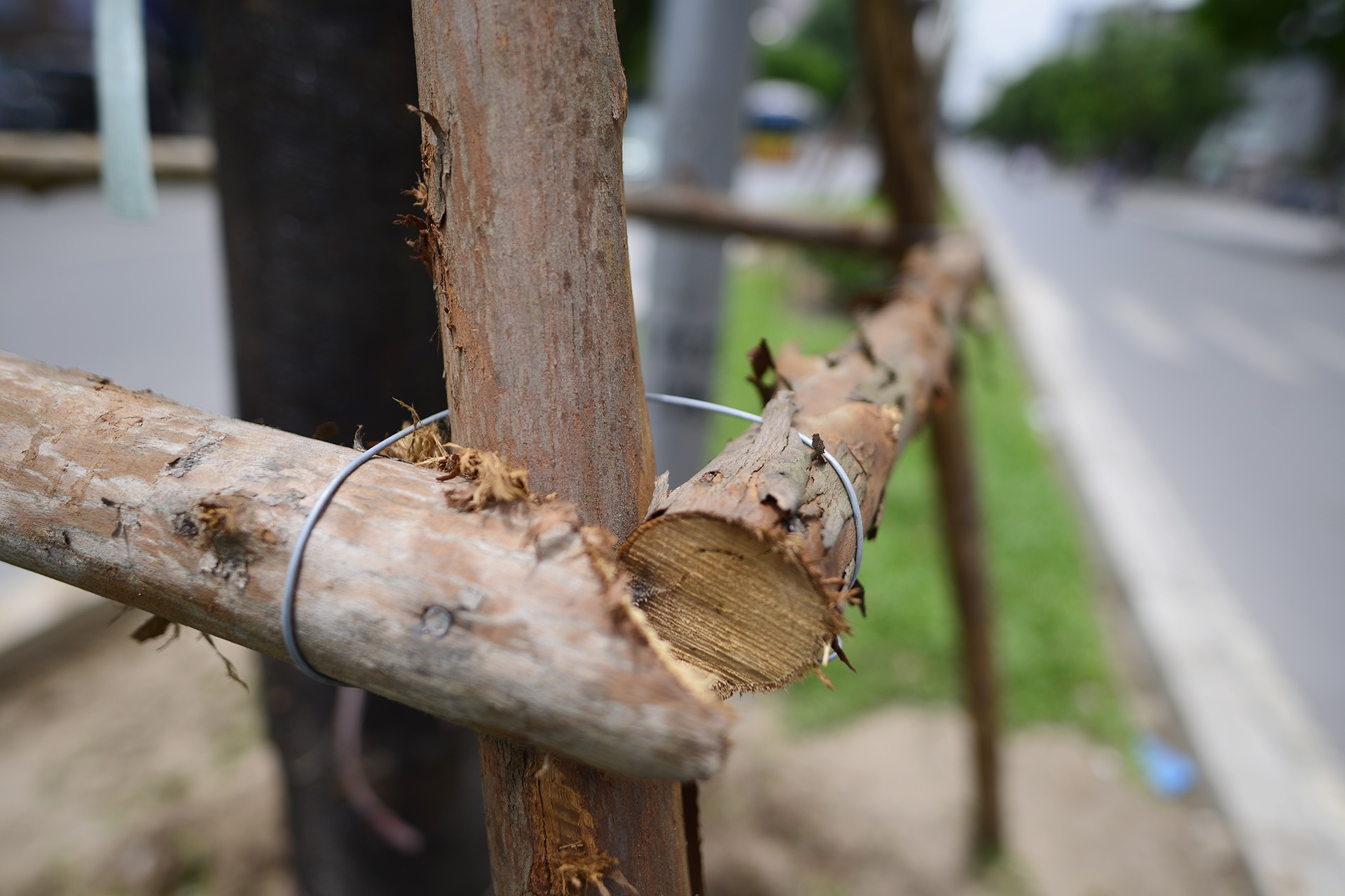 tuyen duong hoa phuong do anh 4