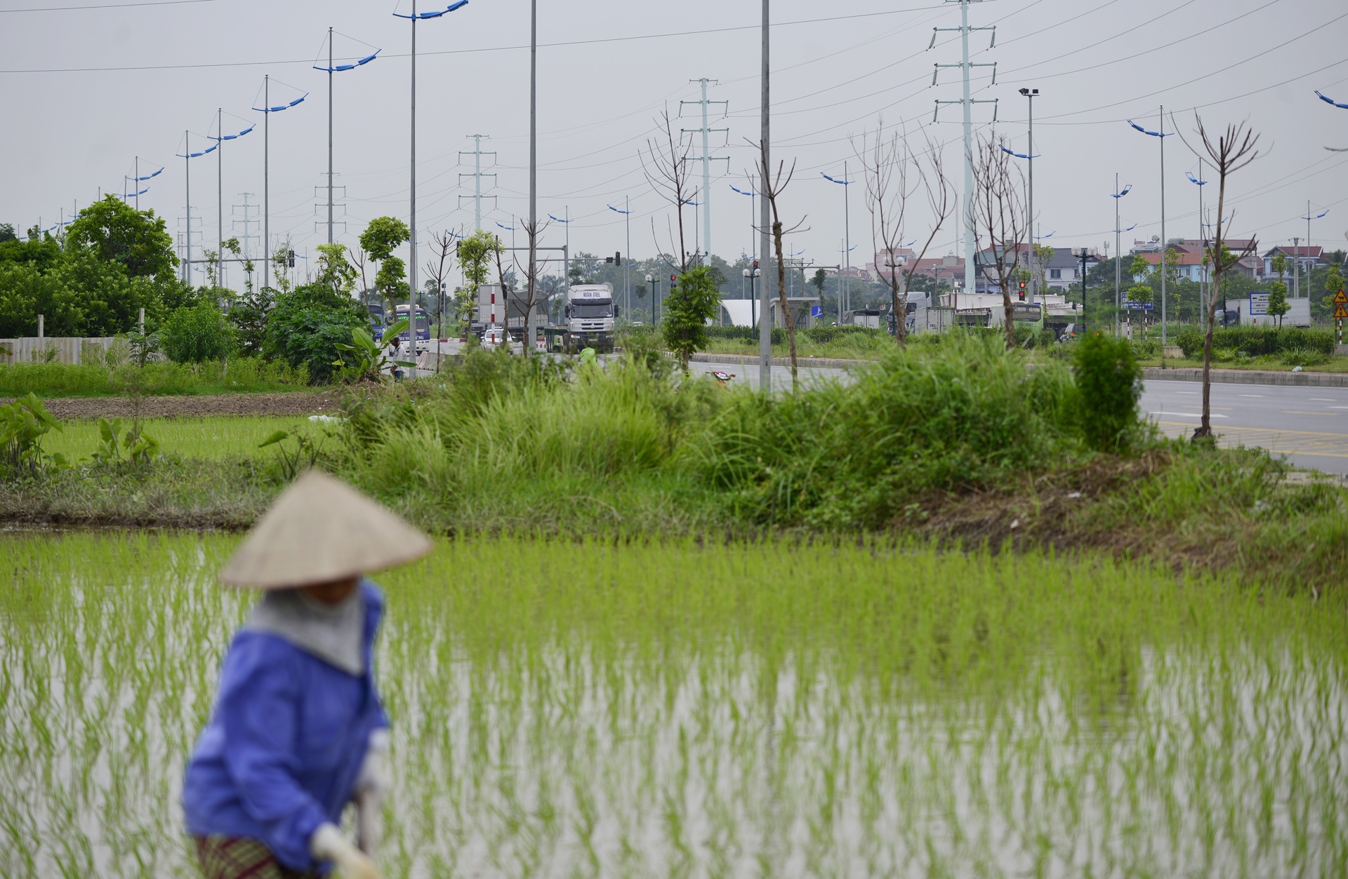 Ngam duong Hoang Sa Truong Sa anh 14