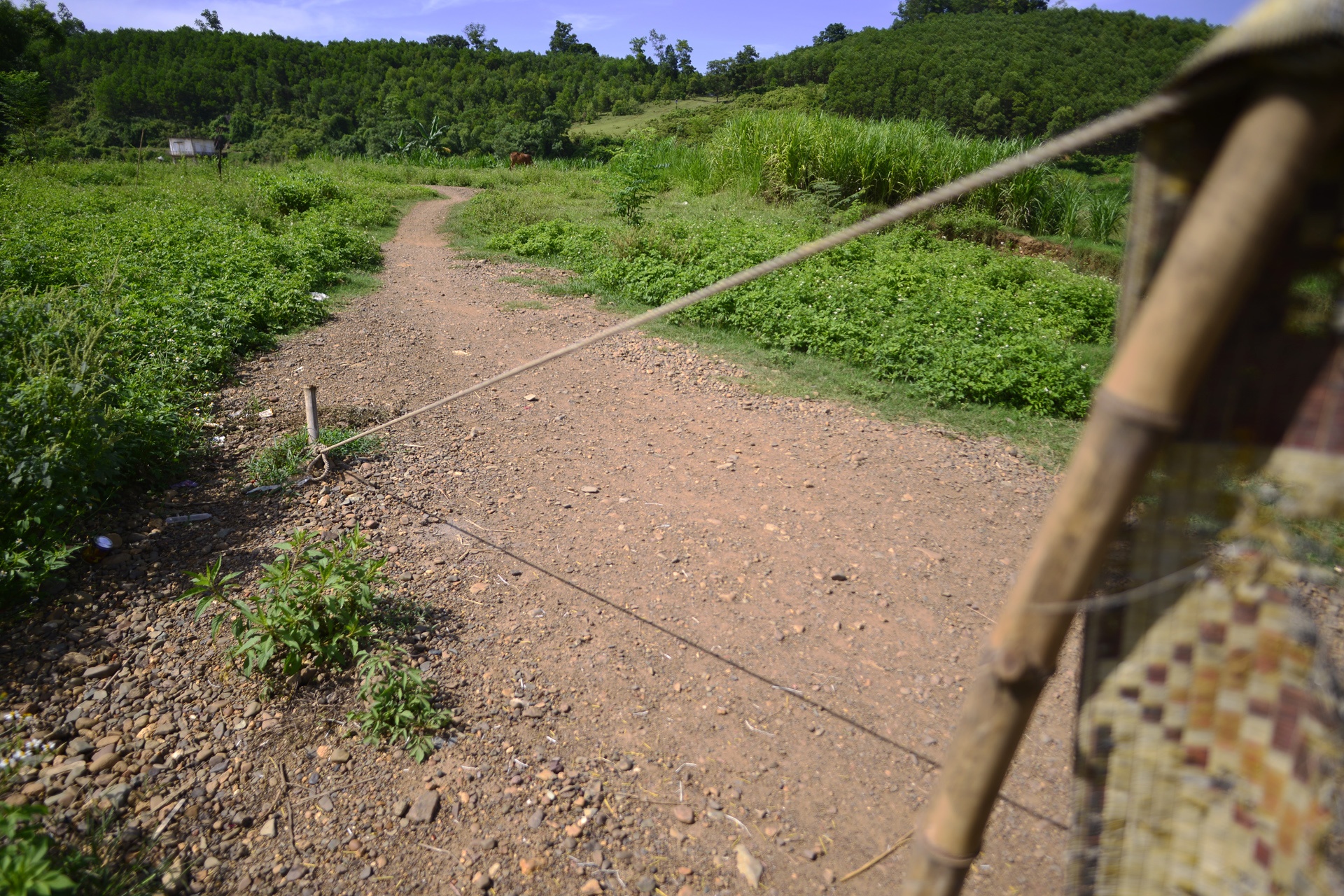 vuot song sau bang be tu che anh 2