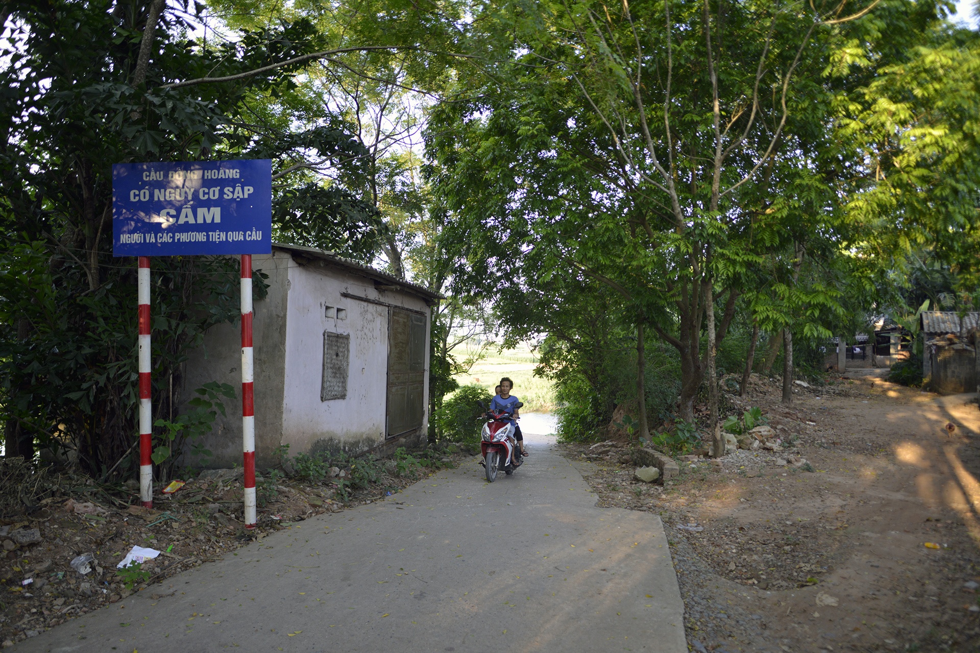 Nguoi dan lieu minh qua cay cau sap sap o Ha Noi anh 2