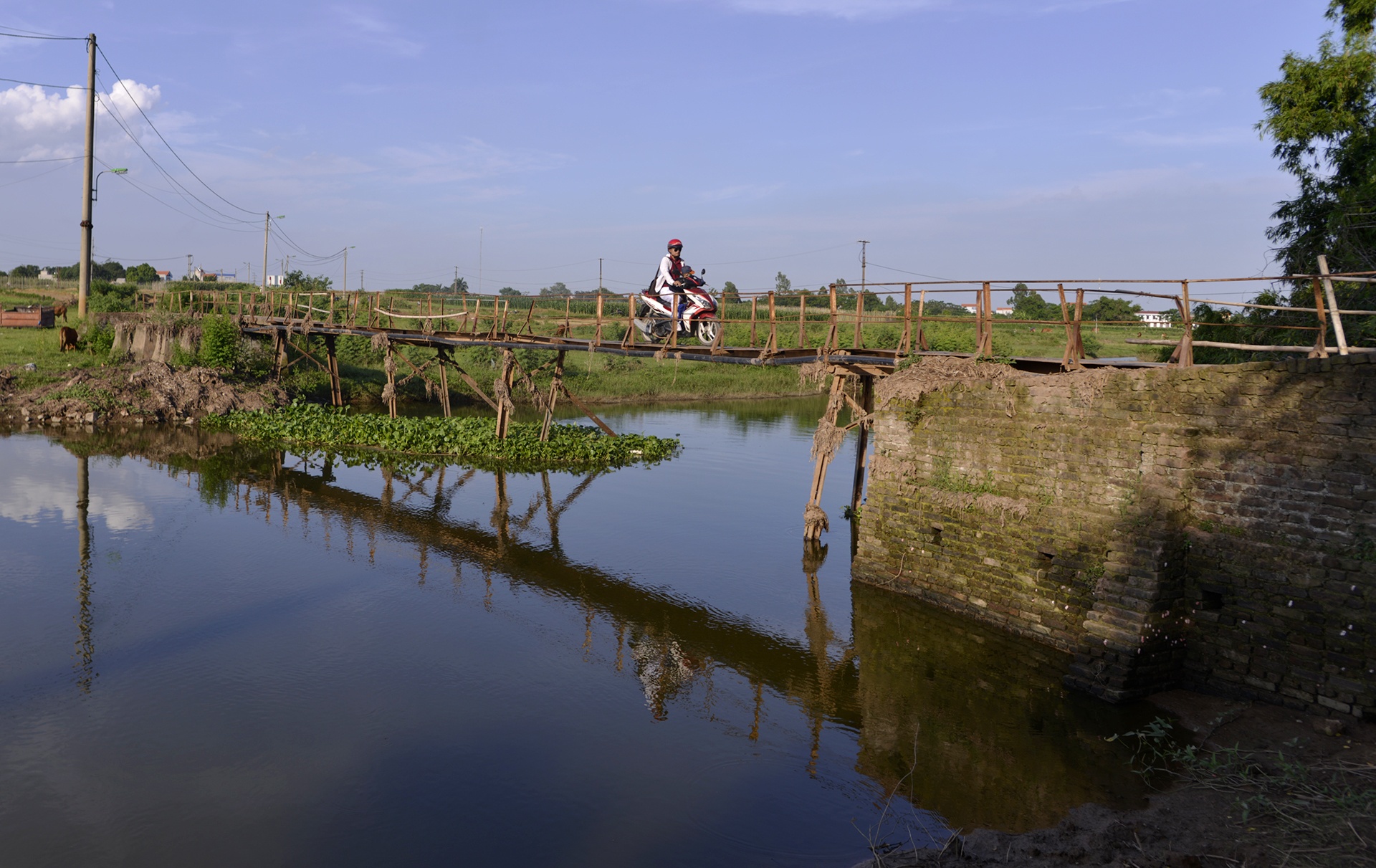 Nguoi dan lieu minh qua cay cau sap sap o Ha Noi anh 1