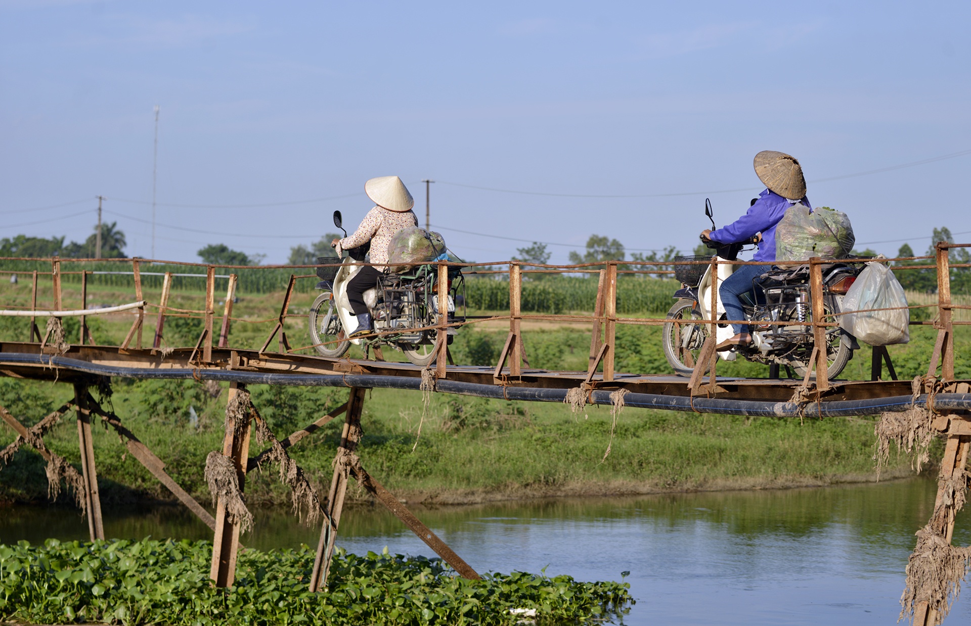 Nguoi dan lieu minh qua cay cau sap sap o Ha Noi anh 7