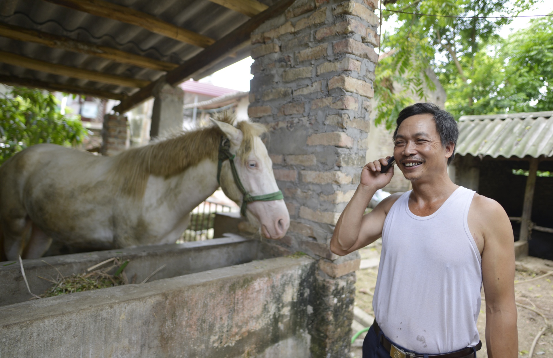 lang nuoi ngua bach tau nha lau anh 3