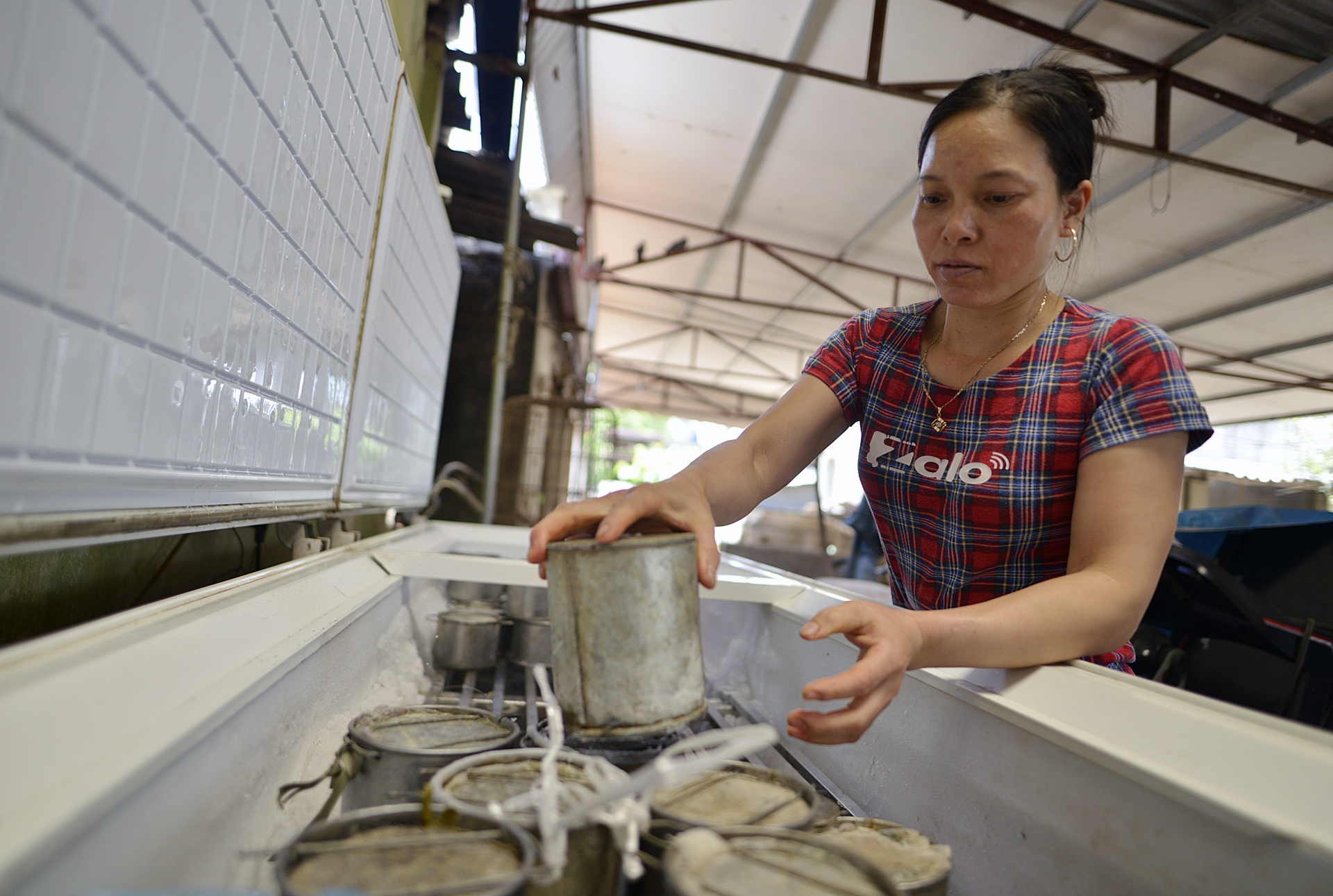 lang nuoi ngua bach tau nha lau anh 6