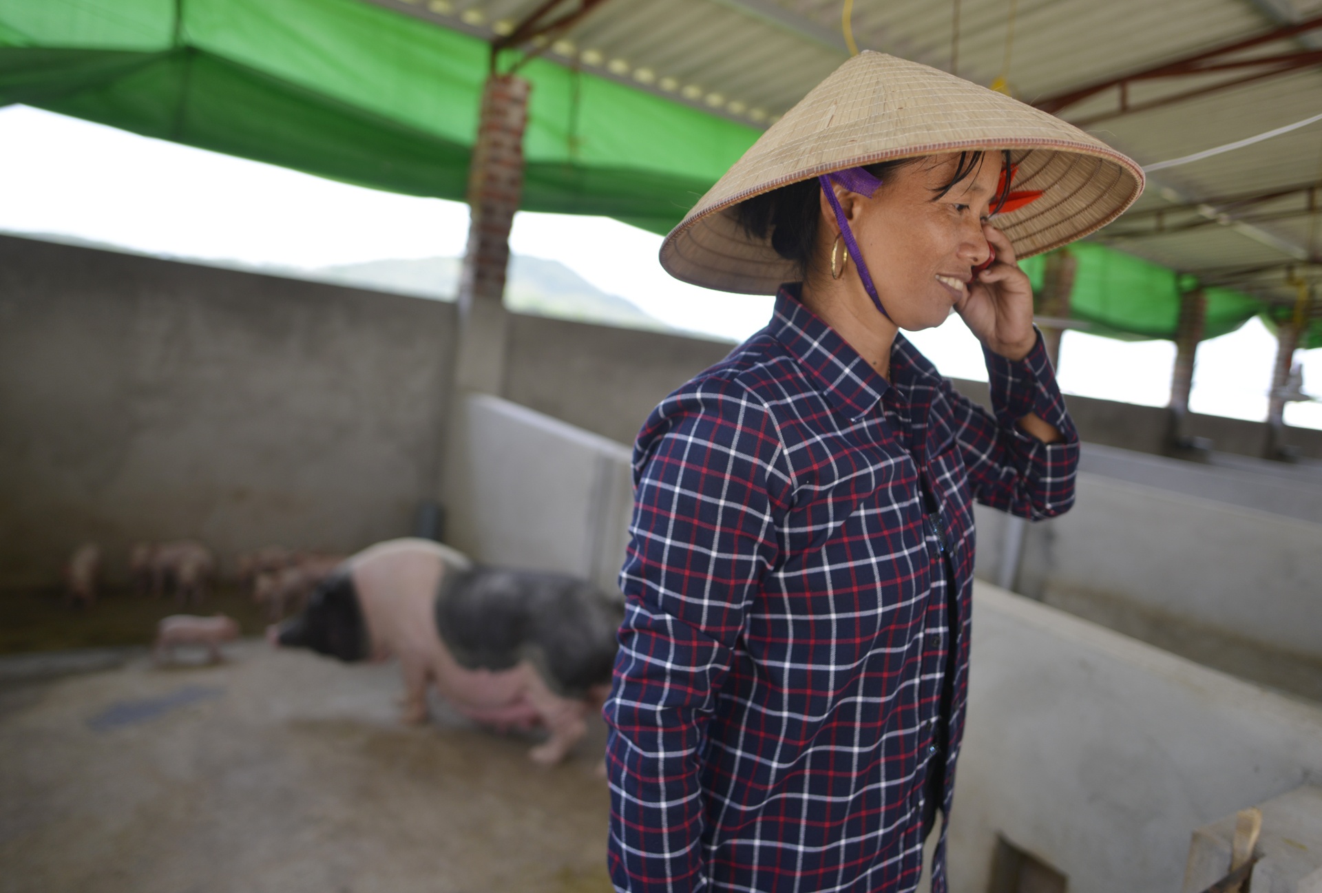 lang nuoi ngua bach tau nha lau anh 8