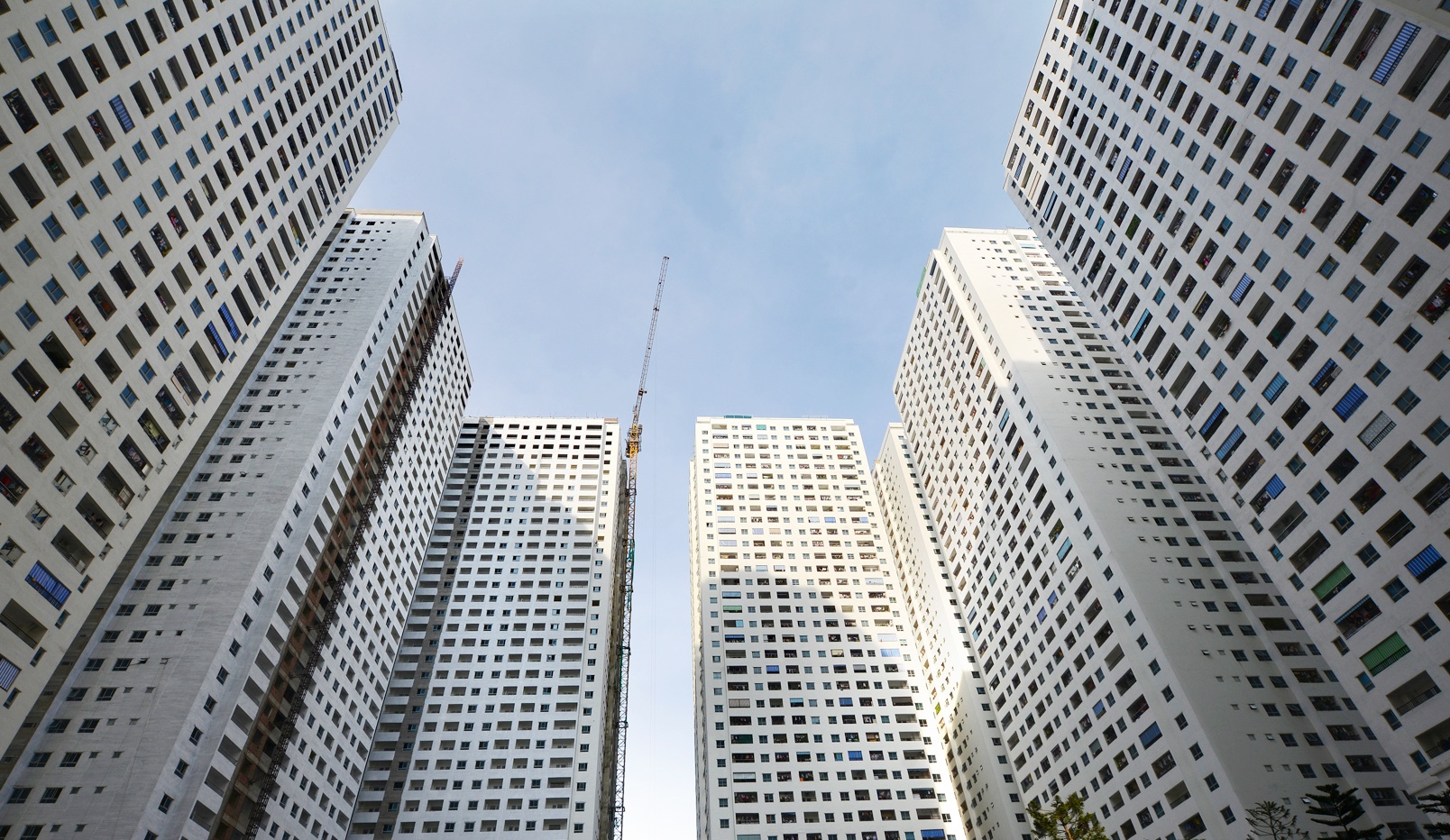 Nhung khu chung cu nhieu on ao cua ong trum nha gia re hinh anh