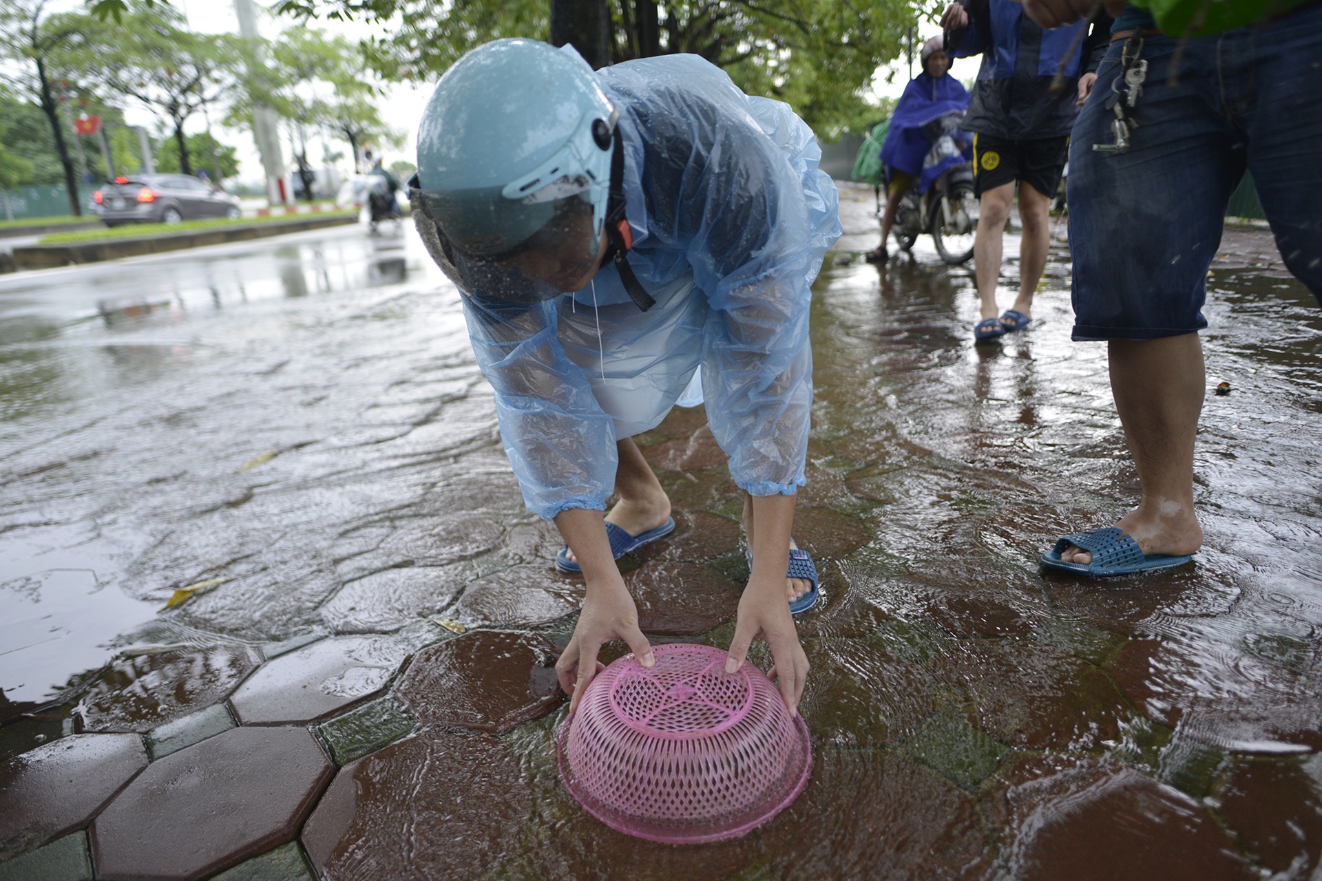 bat ca tren song To Lich anh 3