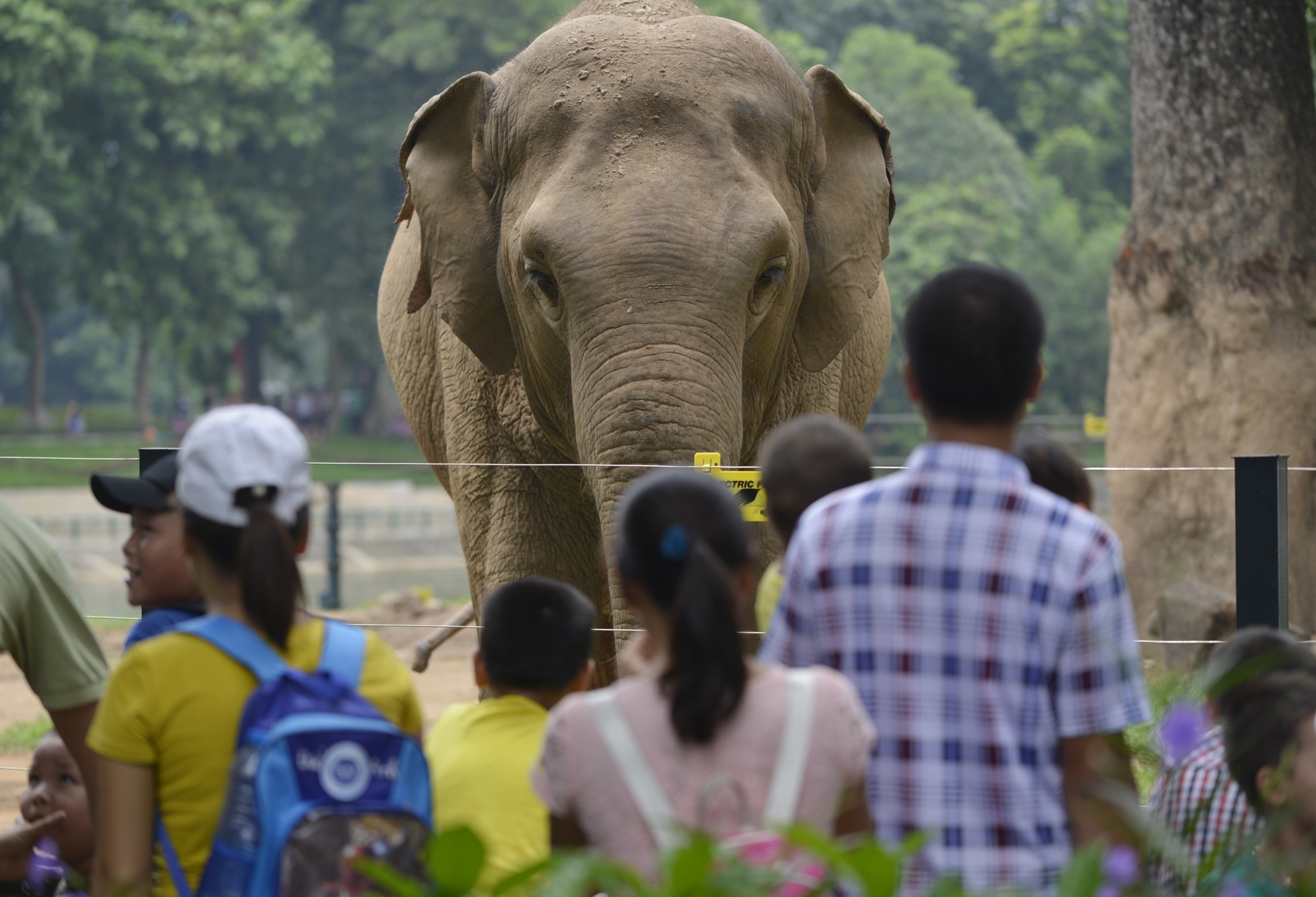Khu vui choi dong nguoi dip nghi le Quoc khanh anh 5