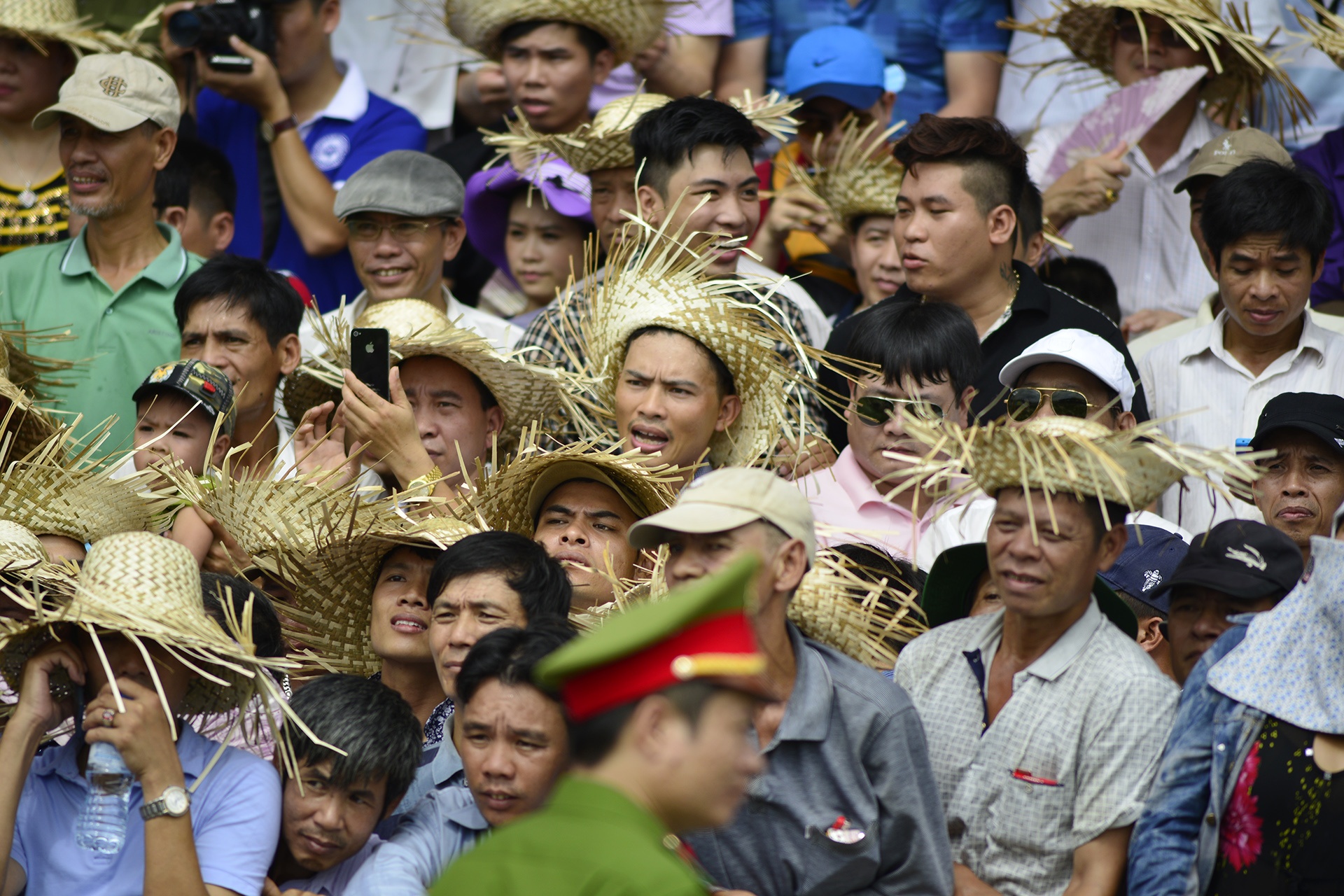 Trâu chọi Đồ Sơn bị húc chết khi mới xung trận ảnh 15 Trau choi Do Son bi huc chet khi moi xung tran anh 15