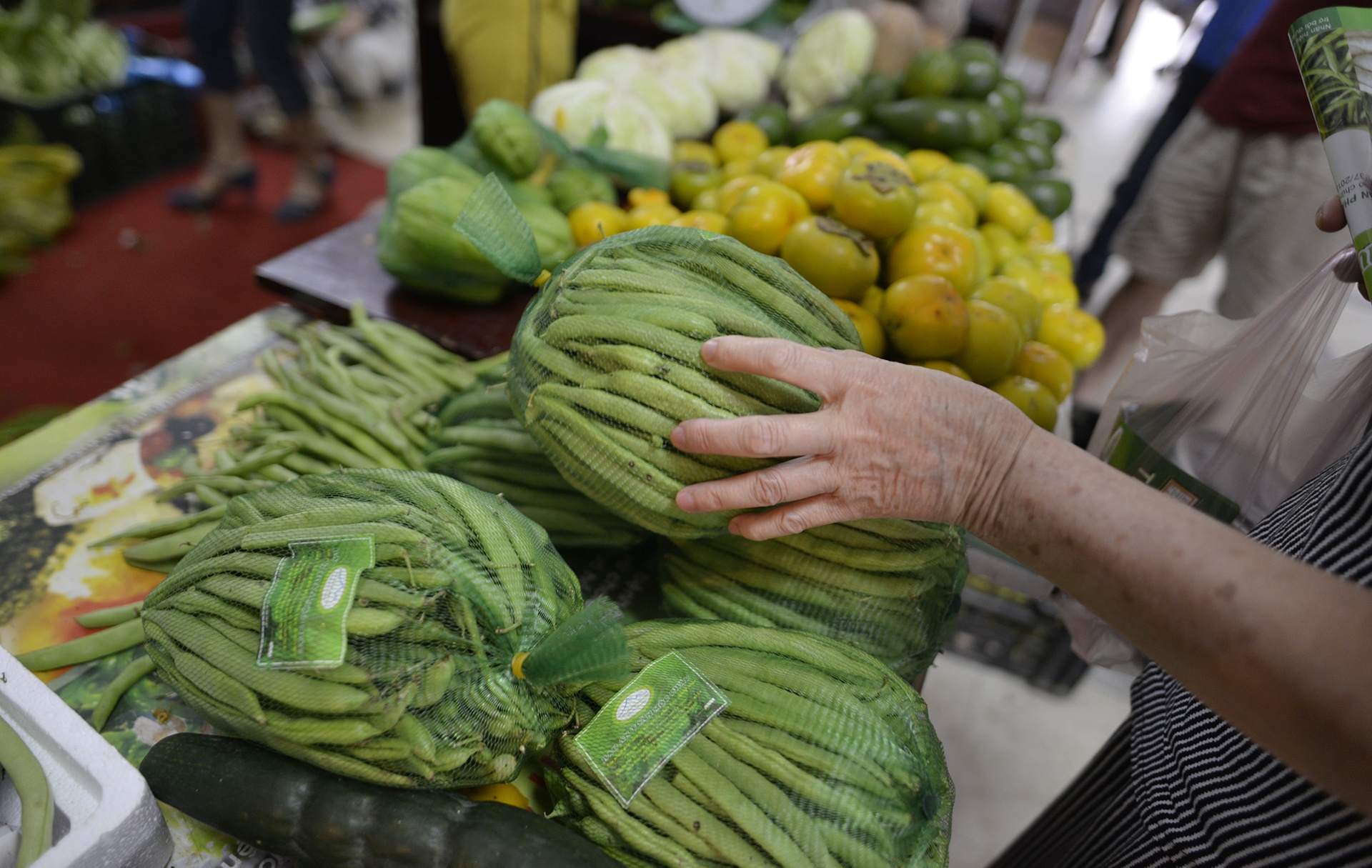 Nong san 4 mien hoi tu o Ha Noi anh 7