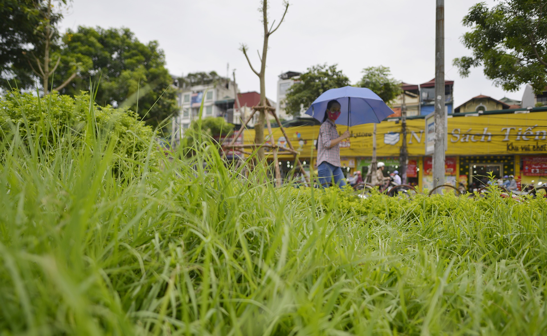 Co moc um tum khap neo duong anh 12