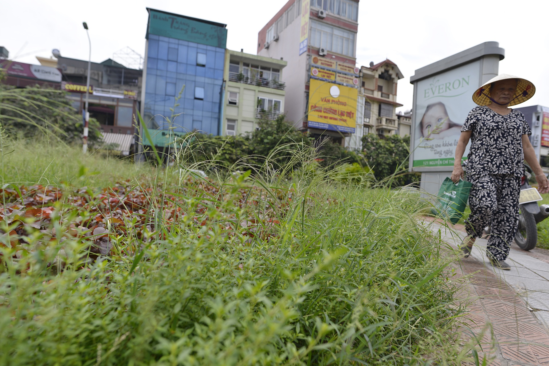 Co moc um tum khap neo duong anh 15