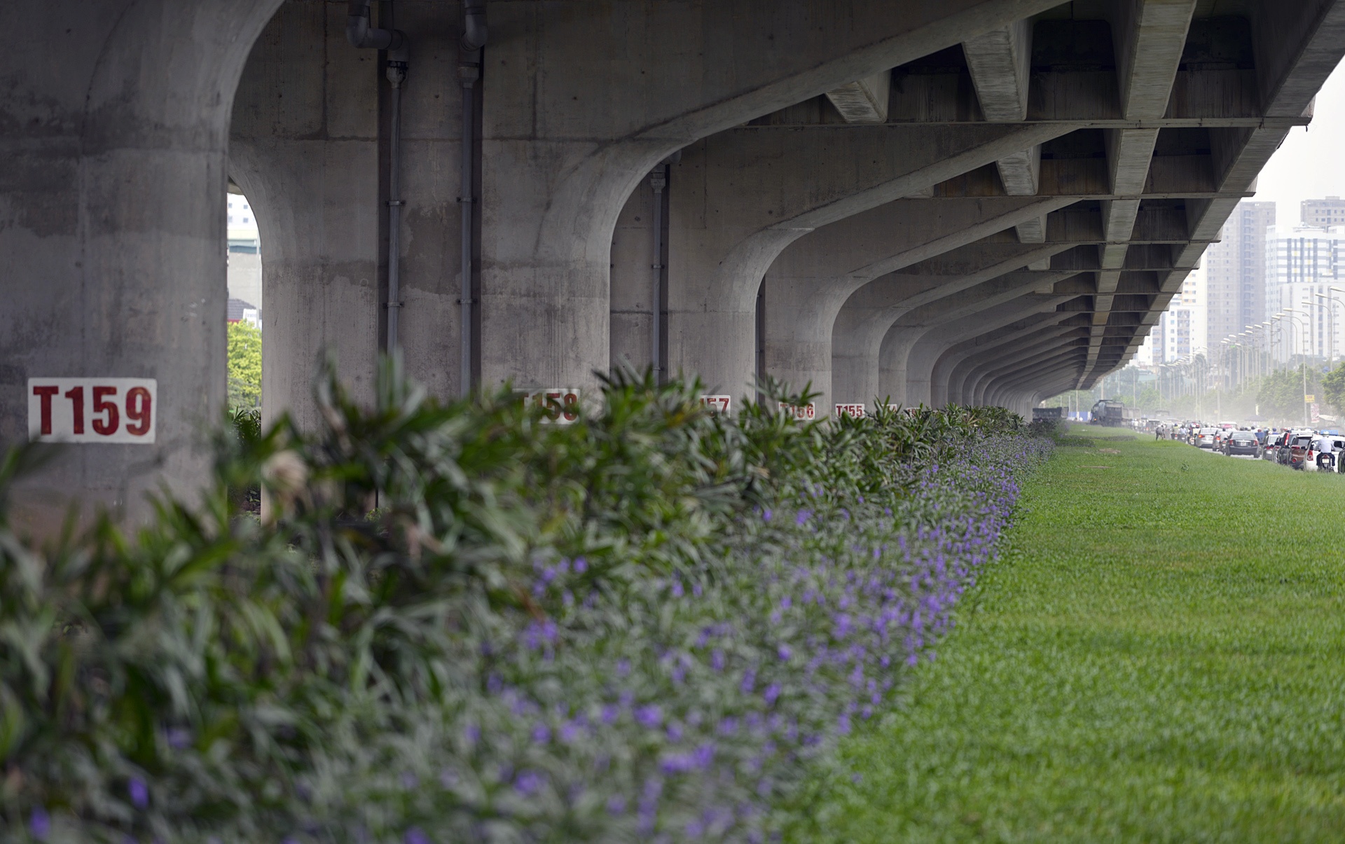 Co moc um tum khap neo duong anh 16