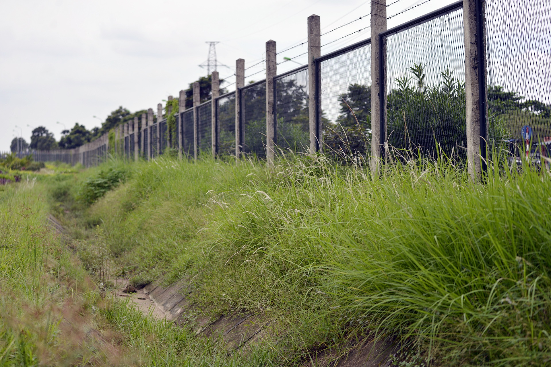 Co moc um tum khap neo duong anh 20